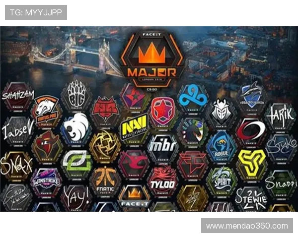 CSGO精彩瞬间：深入解析BLG战队的默契配合与战术策略