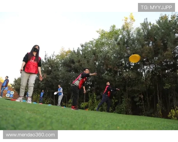 广州飞盘队荣登全国飞盘比赛经验排行榜首位引领风骚